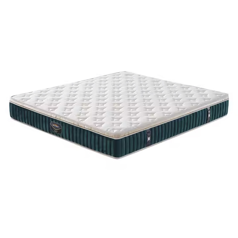 New Arrival 30CM Vacuum Roll up Pocket Spring Hotel Bed Mattress Hypo-allergenic